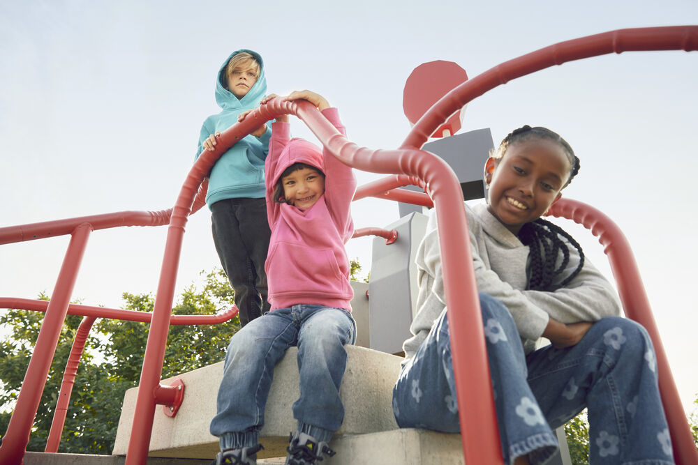 Basic Hoody Junior Unisex - Swiss-Crafting