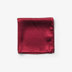 Solid Hankie & Lapel Pin Herren - Swiss-Crafting