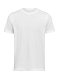 UM T-Shirt (OCS)  Regular Fit Unisex