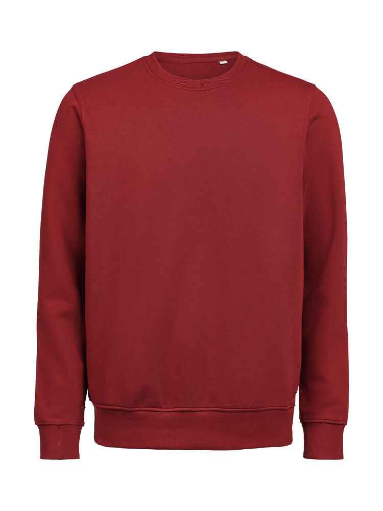 UM Crewneck (OCS-RCS)  Regular Fit Unisex